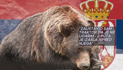 UPOZORENJE - MEDVEDI U OVOM DELU SRBIJE ZAŠLI U NASELJE: Medvedica mu 2 puta izašla ispred traktora