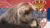 UPOZORENJE - MEDVEDI U OVOM DELU SRBIJE ZAŠLI U NASELJE: Medvedica mu 2 puta izašla ispred traktora