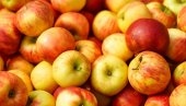 DVE METODE: Priprema jabuka za skladištenje i kako obaviti jodo-skrobni test?