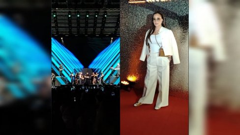 УЖИВА У ХИТОВИМА РИКИЈА МАРТИНА: Цеца Ражнатовић у првом реду на концерту латино звезде (ФОТО)