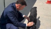 МАЛИ СЕ ПОИГРАО СА КУЦАМА У КАМПУ У СУРЧИНУ: Макица и Црни заједно са нама из дана у дан гледају како расте Експо 2027 и надгледају радове