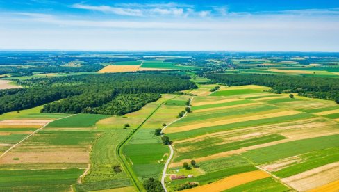 ПЕРИОД НЕИЗВЕСНОСТИ НА ТРЖИШТУ ЖИТАРИЦА: Шта је горе за ратаре, временске непогоде или светска политика?