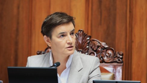 BRNABIĆ: Ništa sve ovo njima ne smeta da sami sebe nazivaju obrazovanom, kulturnom, načitanom i profinjtom