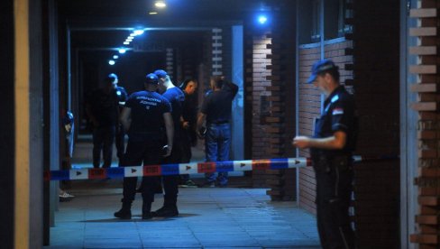 OMETANA ISTRAGA UBISTVA ADVOKATA MIŠE OGNJANOVIĆA: Član radne policijske grupe Mangusta tvrdio na suđenju Dijani Hrkalović