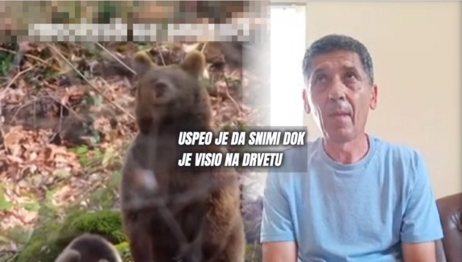 Пецарош из Србије сат времена ВИСИО НА ДРВЕТУ БЕЖЕЋИ ОД МЕДВЕДА: Кренуо на Јасеницу у риболов, а онда сам чуо урлање