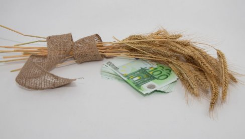 ZA RAVNOMERAN RAZVOJ 80 MILIONA: Konkurs za dodelu bespovratnih sredstava