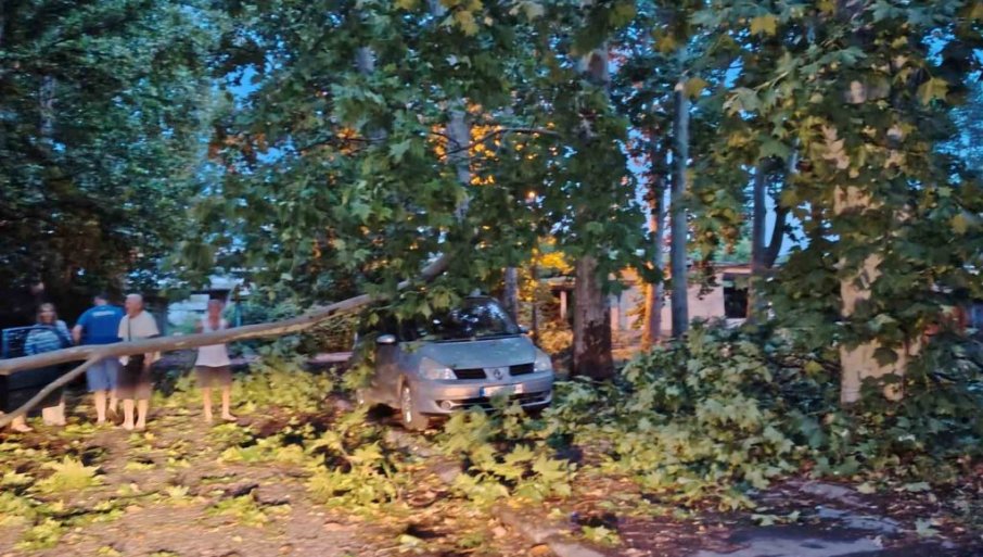 STABLA PADALA NA AUTOMOBILE: Nevreme pogodilo Kvarner u Hrvatskoj, poplavljene kuće
