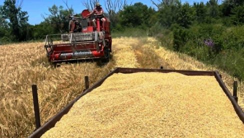 ANALIZA ZEMLJIŠTA U POMORAVLJU POSLE ŽETVE: Besplatno za registrovana poljoprivredna gazdinstva