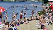 MEDUZE PRIMEĆENE NA ADI CIGANLIJI: Stručnjak otkriva da li su opasne za kupače