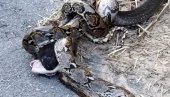 JEZIV SNIMAK! Kobra i piton u borbi na život i smrt - poznato koji reptil je izašao kao pobednik (VIDEO)