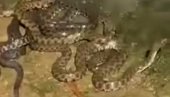 ЈЕЗИВ ПРИЗОР НА ОБАЛИ БИНАЧКЕ МОРАВЕ: Грађани узнемирени - снимак оставио регион у шоку, али без разлога (ВИДЕО)