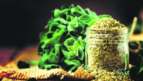 VAŽAN DEO NARODNE MEDICINE: Vranilova trava (divlji origano) umiruje kašalj