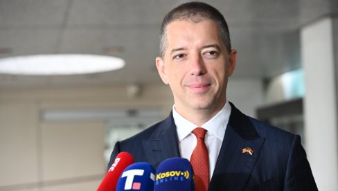 STRANI POSMATRAČI U SRBIJI: Đurić sa šefom posmatračke misije ODIHR-a Eoganom Marfijem o izbornom procesu