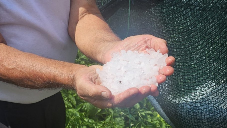 SNAŽNO NEVREME POGODILO PRIJEPOLjE: Grad uništio useve i voćnjake