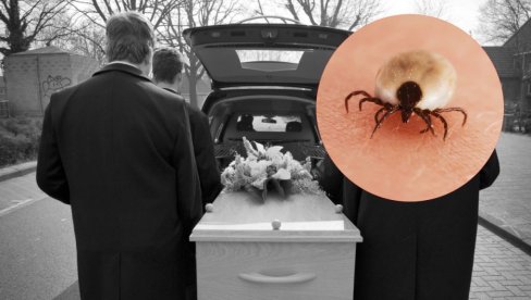 DEČAK JEO KOBASICU I UMRO: Kad bi znali šta krpelj može... Prvi smrtni slučaj u svetu