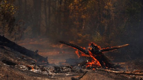 CRNI DIM PREKRIO NEBO, VATRA NE PRESTAJE DA BESNI: Evakuisano 12.000 ljudi, ugroženo jedno od popularnijih letovališta (VIDEO)