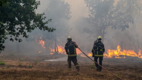 POSLE DEVET DANA BITKE SA VATRENOM STIHIJOM: Ugašen poža kod Trebinja