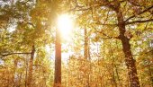 ШТА ЗНАЧИ КАДА СИЈА СУНЦЕ НА АРАНЂЕЛОВДАН? Народно веровање које је опстало до данас