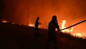 BUKTI POŽAR KOD PLAŽE OFICIRAC U NOVOM SADU: Petrovaradinska ada bez struje, angažovane sve raspoložive vatrogasne jedinice