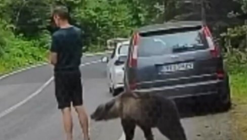ДРАМА У СРПСКОМ КОМШИЛУКУ: Медвед га њуши, он непомично стоји - када је схватио ко је иза њега, уследио бег (ВИДЕО)