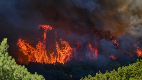 Gotovo 50 vatrogasaca gasi veliki šumski požar na zapadu Slovačke