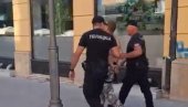 BLOKADER HTEO DA KOLJE I UBIJA LJUDE NA SNS ŠTANDU: Policija u Kragujevcu razoružala monstruma (VIDEO)