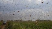 POŠAST BIBLIJSKIH RAZMERA PREKRILA RUSIJU! Nebo se zacrnelo, snimcak ledi krv u žilama