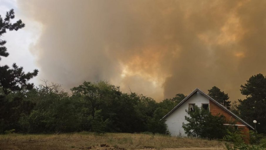 POŽAR IZVAN KONTROLE: Vetar širi vatru ka kućama, počela evakuacija meštana - Haos u Šumarku (FOTO/VIDEO)