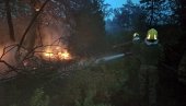 VATRENA STIHIJA POD KONTROLOM: Vatrogasci morali ponovo da gase na brdu iznad sela Luka kod Trebinja