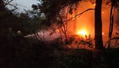 НАСТАВАК БОРБЕ ПРОТИВ ПОЖАРА У ДЕЛИБЛАТСКОЈ ПЕШЧАРИ: Одбрањен Шумарак