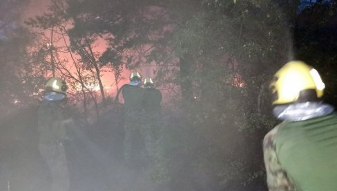 TRENUTNO JE MIRNIJE U DELIBLATU: Aktivna su 23 aktivna u Srbiji, angažovani svi raspoloživi ljudski i tehnički kapaciteti