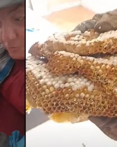 UŽAS IZNAD DEČJE SOBE U BEOGRADU: Brusilicom isekao zid, a onda je roj stršljenova krenuo u prostoriju (VIDEO)