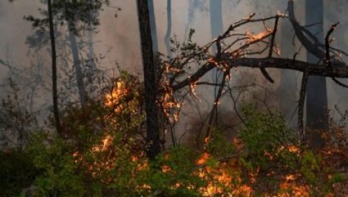 BUKTI ŠUMA KOD BUJANOVCA: Požar ataru sela Breznica kod Bujanovca