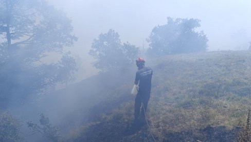 POD VATROM 200 HEKTARA: Na Stolovima iznad Kraljeva gori nisko rastinje (FOTO)