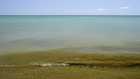 ZABRANJENO KUPANJE NA POPULARNOJ PLAŽI: alge mogu da izazovu povraćanje i probleme sa disanjem