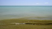 ZABRANJENO KUPANJE NA POPULARNOJ PLAŽI: alge mogu da izazovu povraćanje i probleme sa disanjem