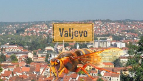 3 DANA U KOMI: Čistio dimnjak kod Valjeva, ujeli ga stršljeni - osetio stezanje u grudima, pa gušenje, a onda je izgubio svest