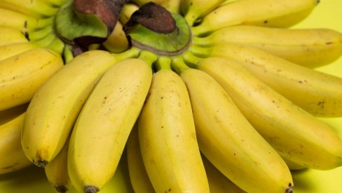 UVEK BROJ JEDAN NA VAGI: U prodavnici kupujete banane, jedno ste primetili, ali odgovor niste znali