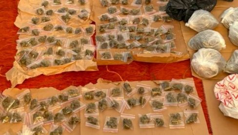 LISICE ZA DILERA-TINEJDŽERA: U stanu krio više od tri kilograma marihuane (FOTO)
