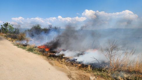 BUKNUO POŽAR NA ROMSKOM GROBLJU: Vatra u Vranju pod kontrolom