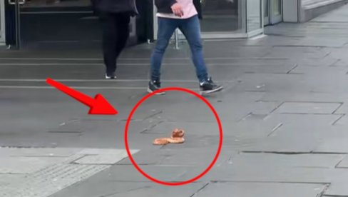 PANIKA! Zmija usred centra grada - zaletala se na ljude, prolaznici prestravljeni, a onda joj je prišao jedan čovek... (VIDEO)
