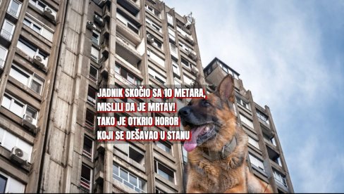 Pas skočio sa 3. sprata, a onda su našli horor u stanu - pao sa 10 metara, mislili da je mrtav