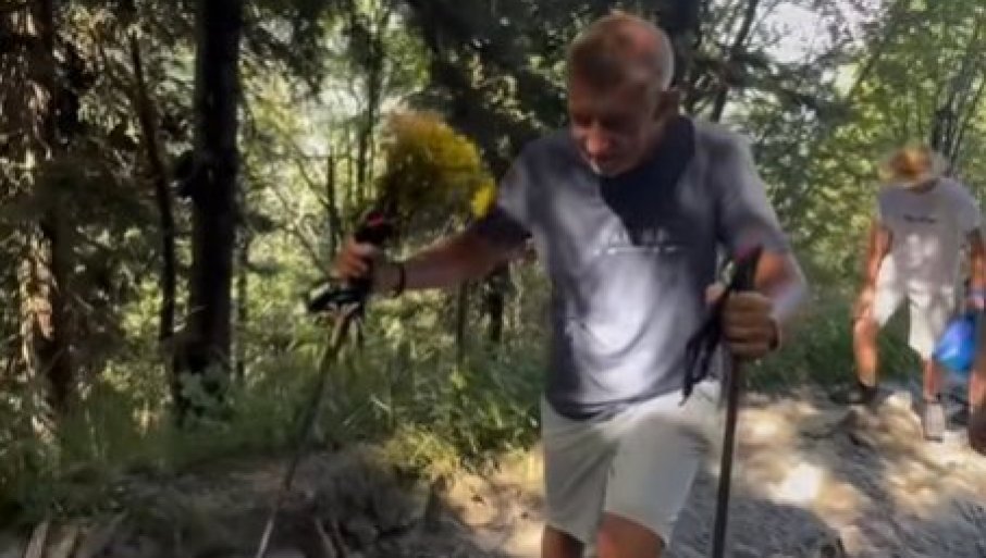 "IZVINITE, MOŽDA SAM PREKRŠIO ZAKON" Andrej Babiš brao cveće na zaštićenom području, pa ponudio da plati ako je potrebno