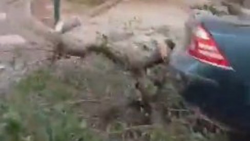 NOVI ZEMLJOTRES JAČINE 4,7 POGODIO GRANADU: Tri osobe povređene (VIDEO)