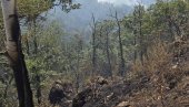 EKIPE NASTAVLJAJU DEŽURSTVA: Lokalizovana tri od četiri žarišta na Stolovima (FOTO)