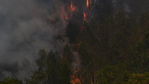 GORI NISKO RASTINJE: Buknuo požar i u ataru sela Bogutovac kod Kraljeva