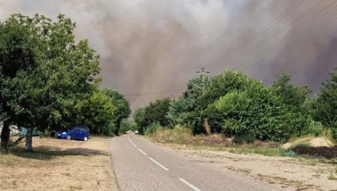 OPREZ ZBOG DIVLJAČI: Put Bela Crkva – Kovin prohodan, ali životinje i dalje beže od požara