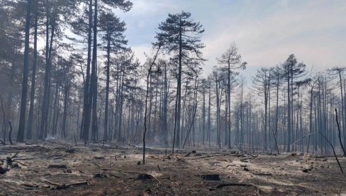 ŠTAB ZA VANREDNE SITUACIJE BELE CRKVE: Požar još aktivan, situacija mirna i stabilna