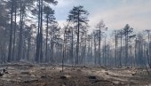 ШТАБ ЗА ВАНРЕДНЕ СИТУАЦИЈЕ БЕЛЕ ЦРКВЕ: Пожар још активан, ситуација мирна и стабилна