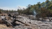 КО ПЛАСИРА ЛАЖИ О ПОЖАРУ У ДЕЛИБЛАТСКОЈ ПЕШЧАРИ И ШИРИ ПАНИКУ? Озбиљно тровање јавног простора! (ВИДЕО)